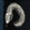 ダークソウル3貪欲な銀の蛇
