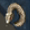 ダークソウル3貪欲な金の蛇